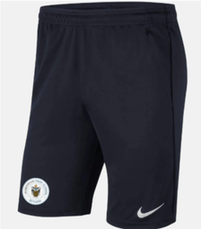 Nike Pocket Shorts